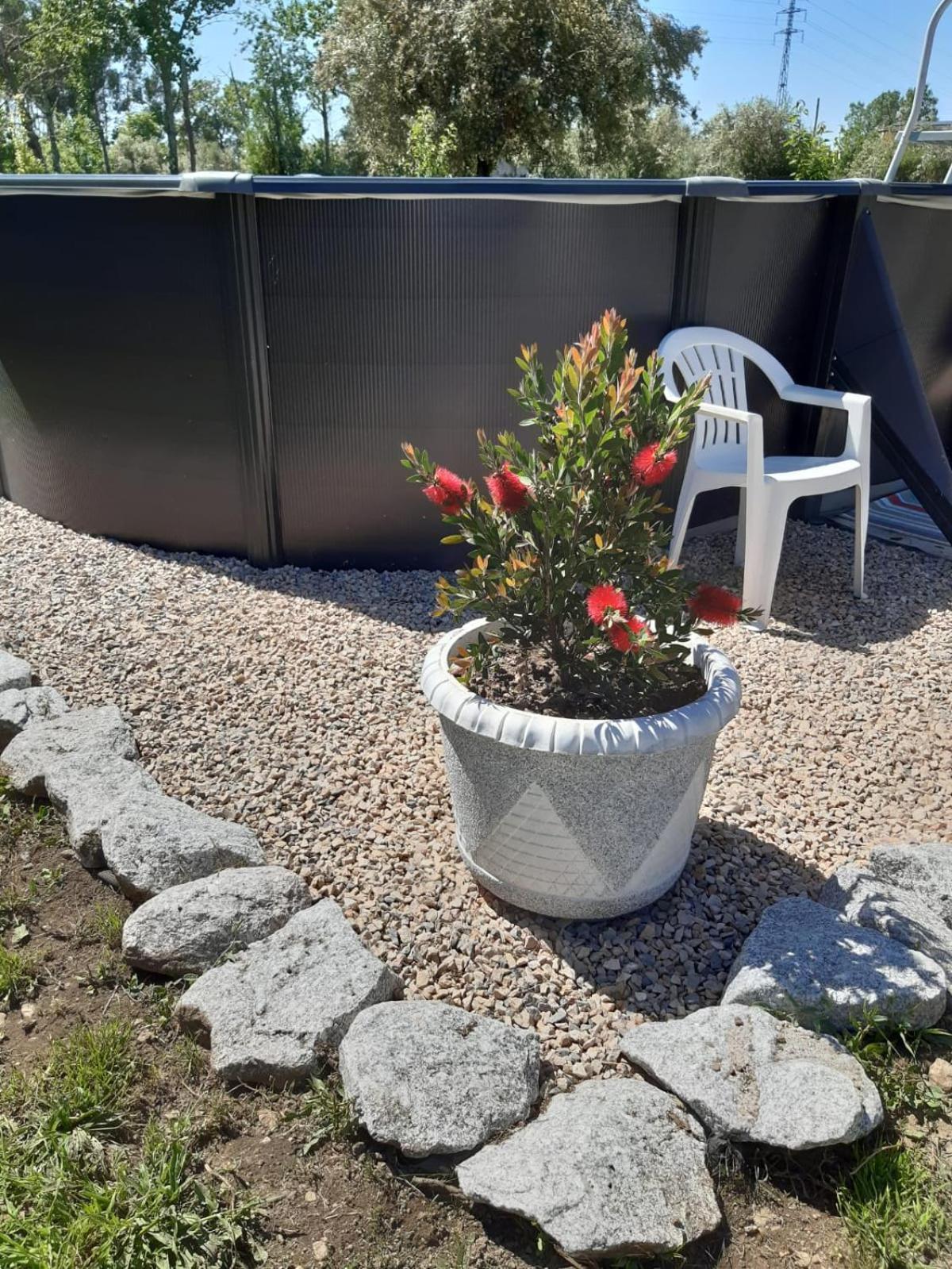 فيلا Casa Curral Do Porco Tábua المظهر الخارجي الصورة